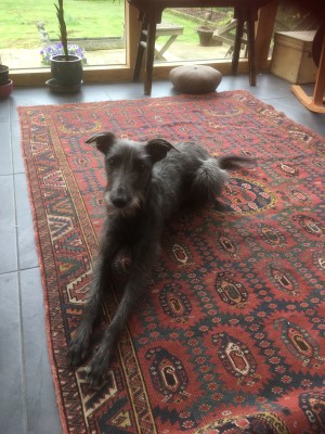 Photo 12-03-2017, 10 09 08